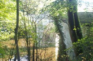 Prebends Bridge through the leaves