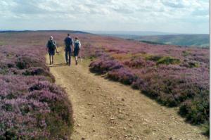 August in Rosedale
