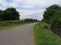 The Greenway [E] from Lonsdale Avenue access