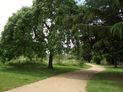 Central Park - the path leading to Cheltenham Gardens exit