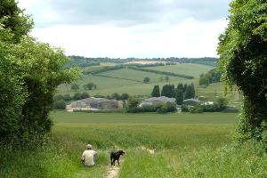 View from the Town End gateway