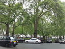 Berkeley Square