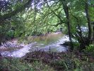 Walk past the remains of the old sheep wash by the Gwili River.