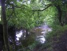 After crossing the A484 and the Gwili railway track, follow the lovely Gwili River back to the car park at the Village Hall. Watch for Dippers and Kingfishers on this stretch.