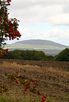 Wrekin Viewed from Wenlock Edge