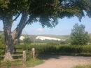 The Downs from Springbarn Farm