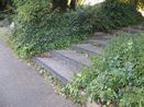 steps up from the canal path