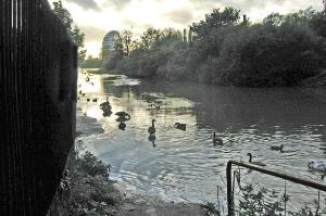 River Soar, Belgrave