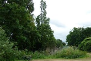 Turn left in front of bushes and under trees and pass through a gate. Do not cross railway line.