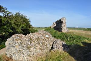 Fallen Bastion and Wall, Burgh Castle