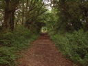 The Old Railway Line