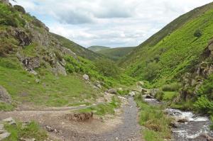 Looking back along Light Spout Hollow