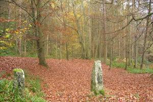 Dipton Woods in autumn
© Copyright Brian Norman and licensed for reuse under this Creative Commons Licence