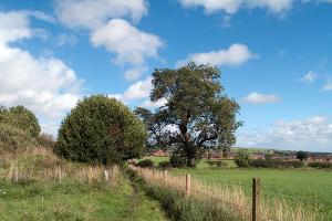 Footpaths converge from three directions and meet at this location south of West Roddymoor