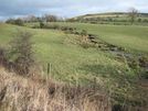Stream on the slopes of Dowfold Hill above Crook.