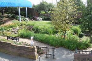 View of Lady Herbert