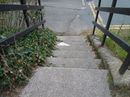View of the steps (7) from the tow path down to Brooklyn Rd