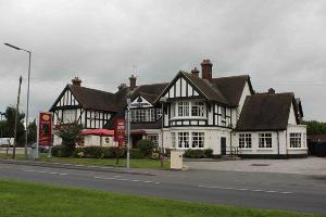 Rising Brook Royal Oak