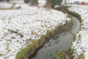 The stream near waypoint 1