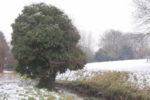 The stream between waypoints 2 and 3