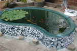 Goldfish pond