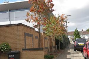 Attractive wall in Connaught Road