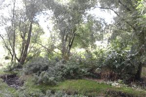The stream from the bridge in Lewsey Park