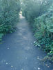 Path on Hyndburn Greenway