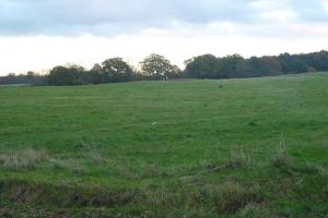 View across Latton Common