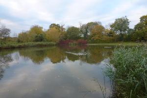 Netteswell Pond
