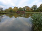 Netteswell Pond