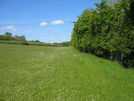 Meadow near Wiserley Hall
© Copyright Les Hull and licensed for reuse under this Creative Commons Licence