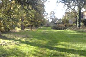 The woods, Old Harlow