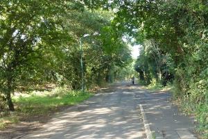 View along cycle track between waypoints [4] and [5]