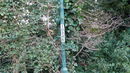 Numbered lamppost at waypoint [5]