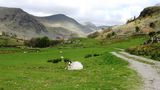 View back up the valley from near Overend Farm