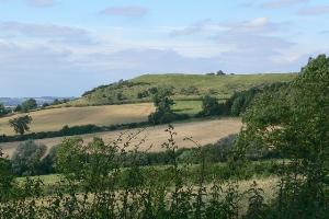 A view of Burrough Hill