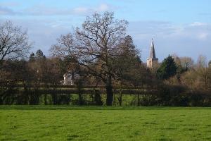 Approaching Pitminster