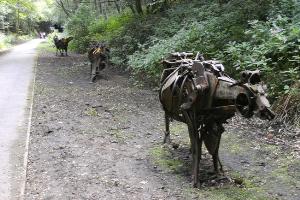 Beamish Shorthorns by Sally Matthews
