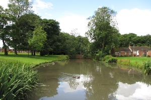 A duck pond around Eden Drive, next to Ceddesfield Hall