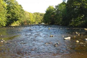 The River Wear at Stanhope
© Copyright M J Richardson and licensed for reuse under this Creative Commons Licence