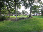Cotman Close