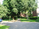 Path connecting Cotman Close to Ardwell Lane at Waypoint 7