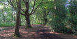 Clowes Wood