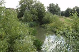 Broughton Brook from the Bridge