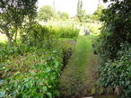 Allotments on Broughton Road