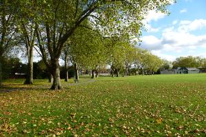 Chestnuts Park and sports pavilion