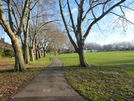 Path into Chestnuts Park from Black Boy Lane.