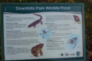 Notice board beside wildlife pond in Downhills Park