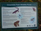 Notice board beside wildlife pond in Downhills Park